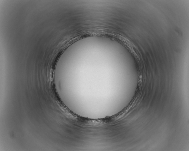 X0000112820525200908211003