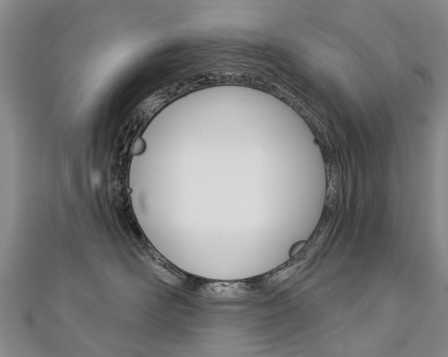 X0000112820526200908211003