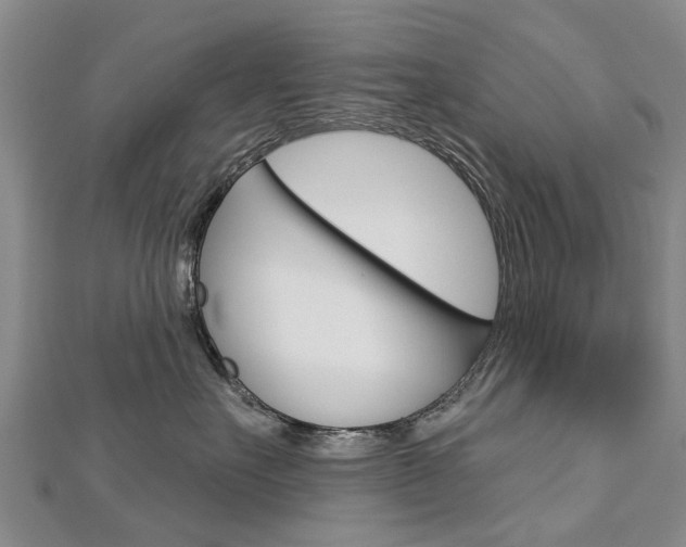 X0000112820527200908211002
