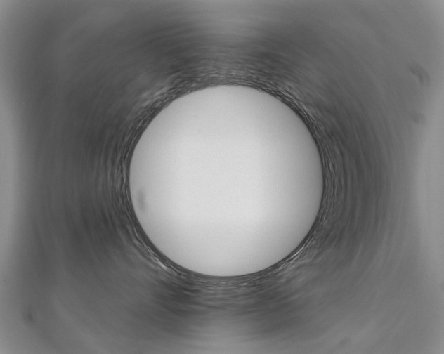 X0000112820528200908211002