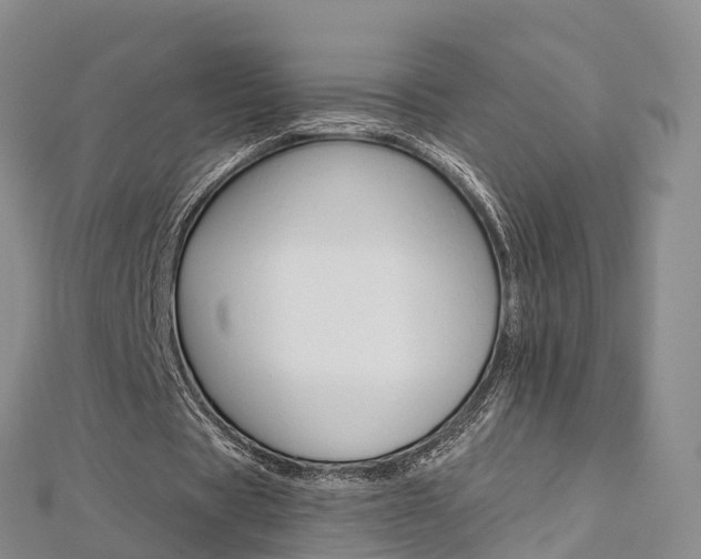X0000112820529200908211002