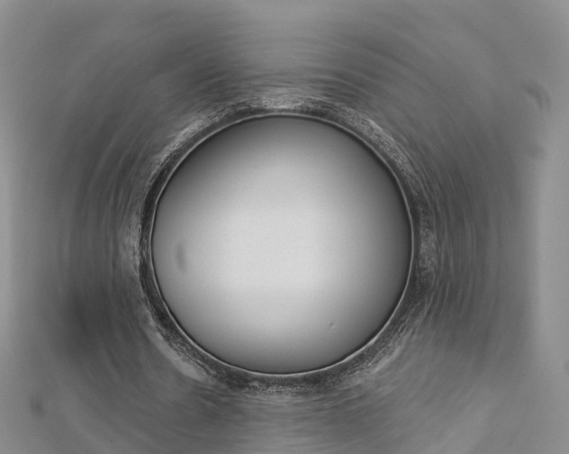 X0000112820530200908211002