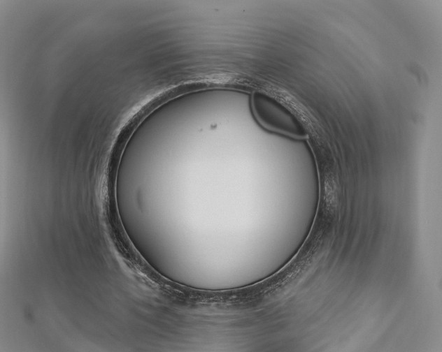 X0000112820532200908211002
