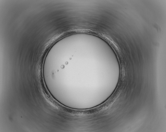 X0000112820533200908211002