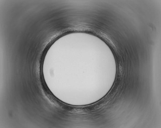 X0000112820534200908211002
