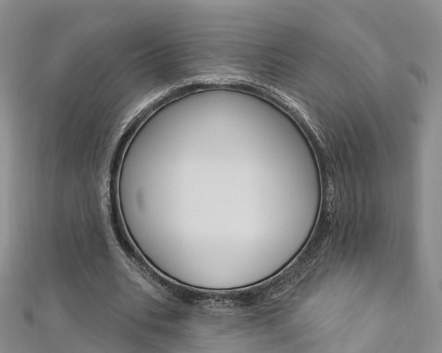 X0000112820535200908211002