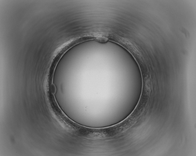 X0000112820536200908211002
