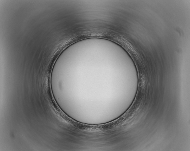 X0000112820537200908211002