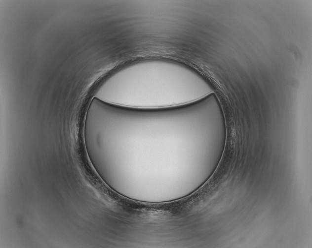 X0000112820539200908211002