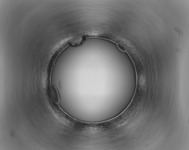 X0000112820540200908211002