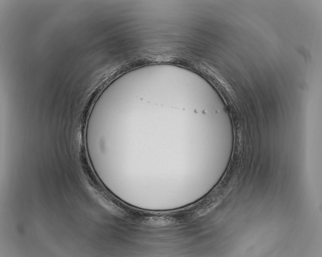 X0000112820541200908211002