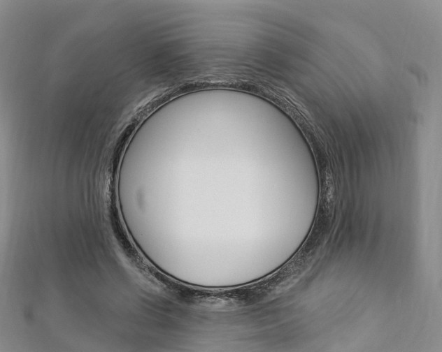 X0000112820542200908211002
