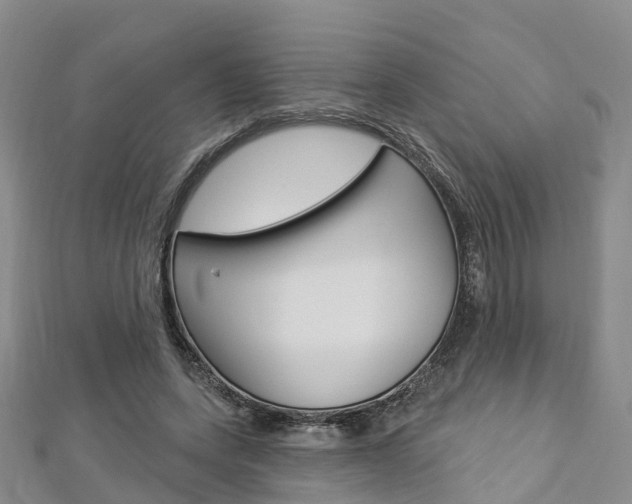 X0000112820543200908211002