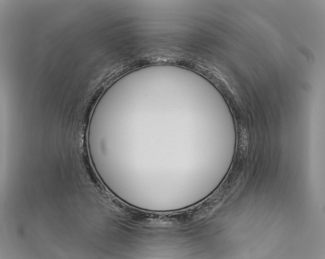 X0000112820545200908211002