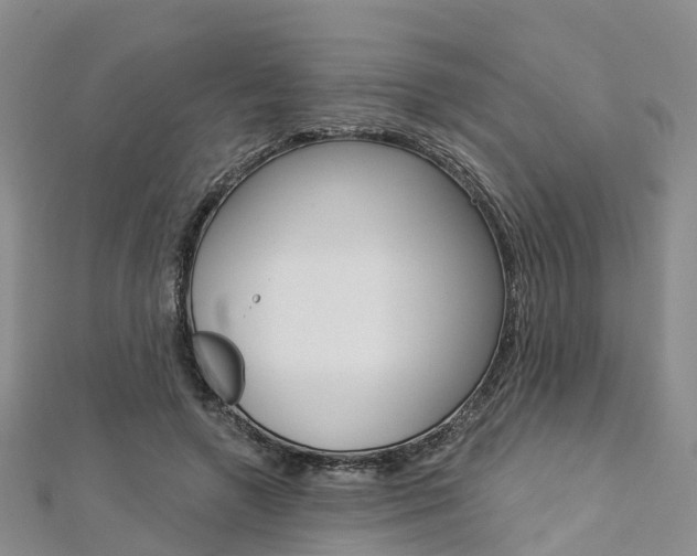 X0000112820546200908211002