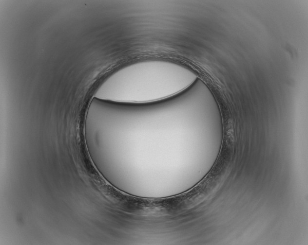 X0000112820547200908211002