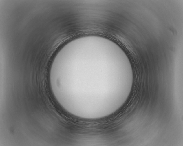 X0000112820548200908211002