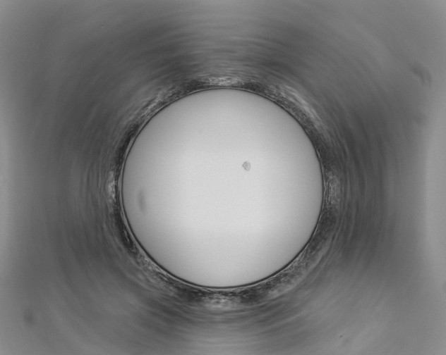 X0000112820549200908211002