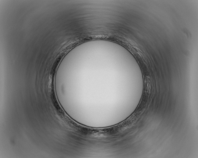 X0000112820550200908211002
