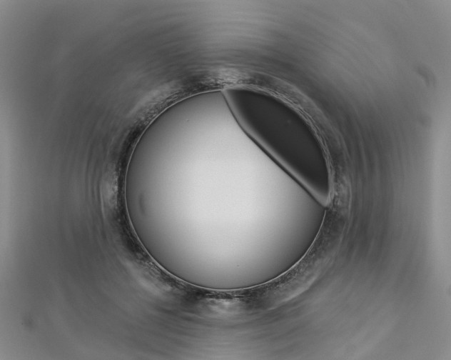 X0000112820552200908211002