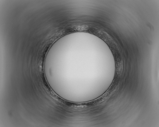 X0000112820553200908211002