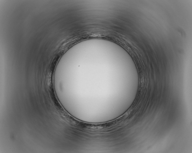 X0000112820554200908211002
