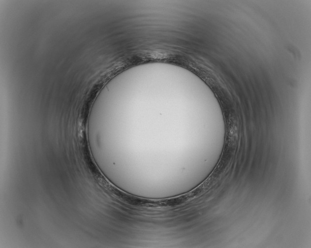 X0000112820555200908211002