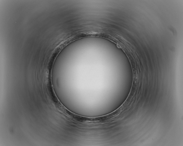 X0000112820556200908211002