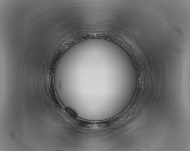 X0000112820558200908211002