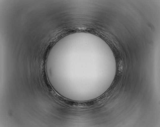 X0000112820559200908211002