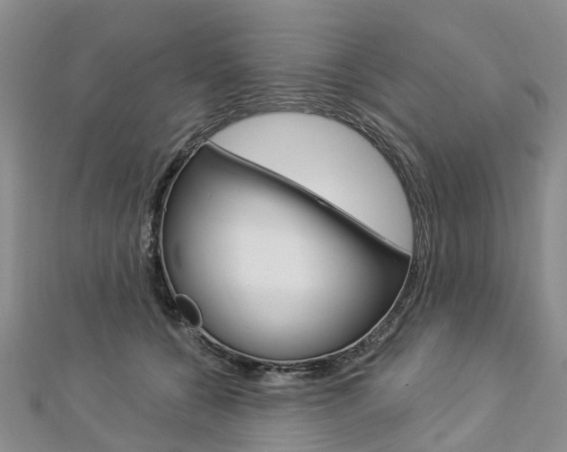 X0000112820560200908211002