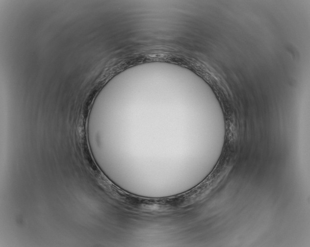 X0000112820561200908211002