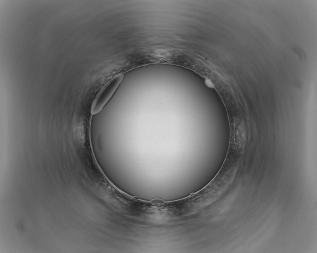 X0000112820562200908211002