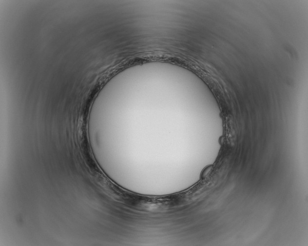 X0000112820563200908211002