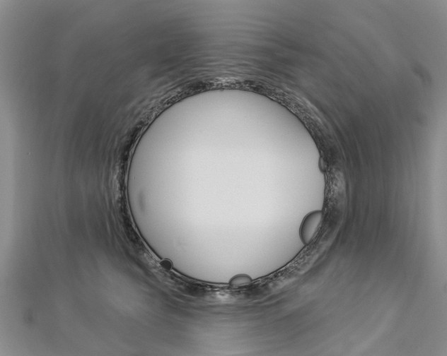 X0000112820565200908211002
