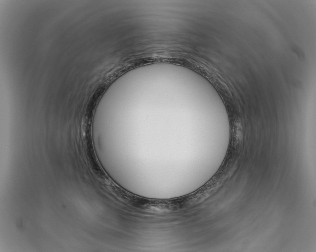 X0000112820567200908211002