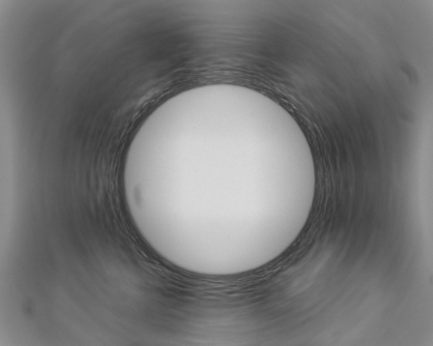 X0000112820570200908211002