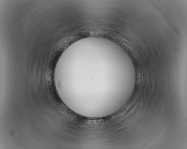 X0000112820571200908211002