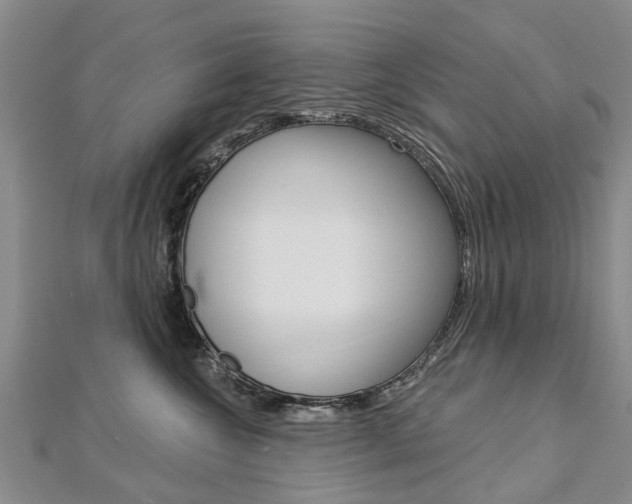 X0000112820572200908211002