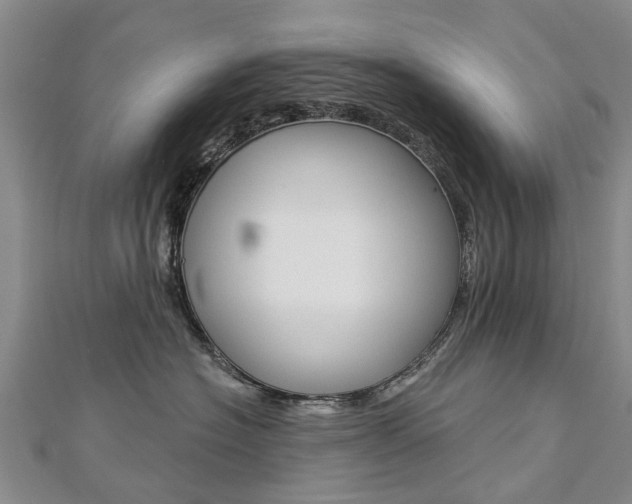 X0000112820574200908211002
