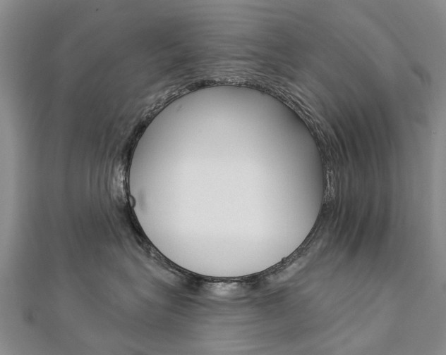 X0000112820575200908211002