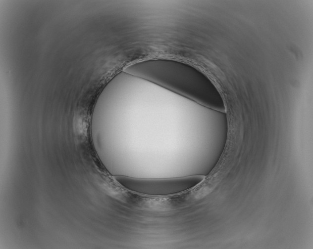 X0000112820576200908211002