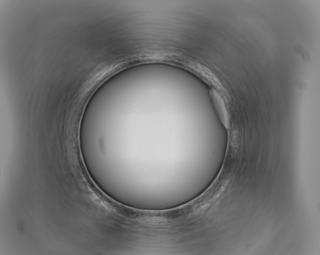X0000112820577200908211002