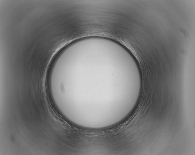X0000112820579200908211002