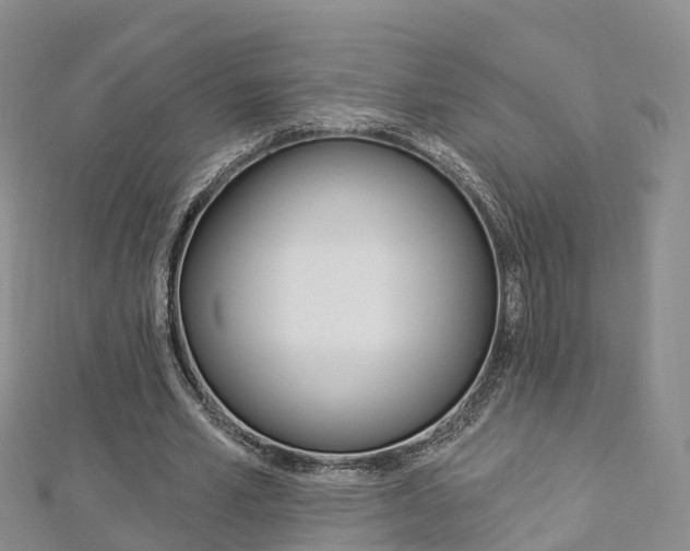 X0000112820581200908211002