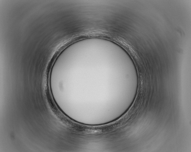 X0000112820582200908211002