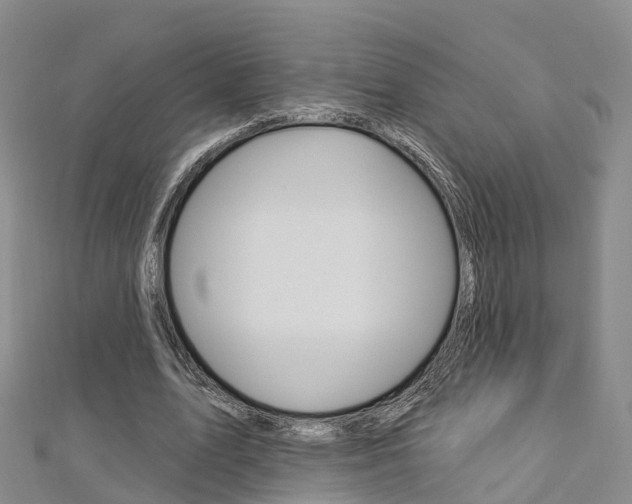 X0000112820583200908211002