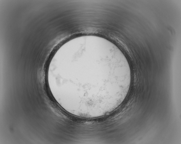 X0000112820584200908211002