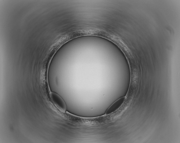 X0000112820585200908211002