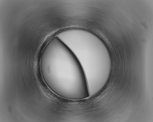 X0000112820588200908211002